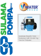 WATER WS-2516 BEM-35 1.1 HP 220V KENDİNDEN EMİŞLİ PASLANMAZ ÇELİK YAĞ TRANSFER POMPALARI