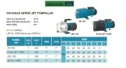 ATLANTİS BLU JET100A   1HP 220V DÖKÜM GÖVDELİ  ALÜMİNYUM SARGILI JET POMPA (OKYANUS SERİ)