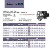Atlantis CA 50-32/5.5T   5.5Hp 380V  Komple Paslanmaz Çelik Flanş Bağlantılı Santrifüj Pompa