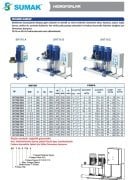 Sumak SHT16A  850/8   1X6.3 kW  380V  Tek Pompalı Düşey Milli Kademeli Hidrofor