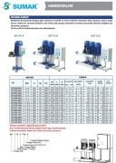 Sumak SHT12C  220/4   3X1.6 kW  380V  Üç Pompalı Düşey Milli Kademeli Hidrofor