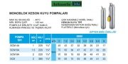 Atlantis Blu  SCM 8A   2Hp 220V  Çok Kademeli  Monoblok Keson Kuyu Pompa (10 m kablolu, kumanda panolu, taşıma halatlı,kendinden motor soğutmalı)