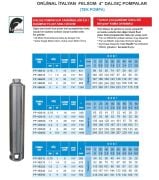 Felsom FP 4H055  5.5Hp  4'' Tek Dalgıç Pompa (Orjinal İtalyan) (Bağımsız Float Fanlı Sistem)