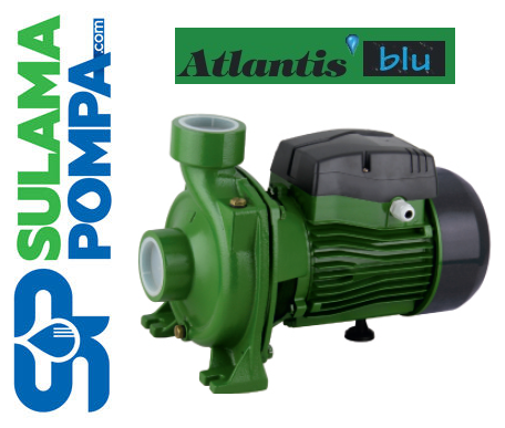 DMLA 22-1.1 M 1.5 HP 220V TEK KADEMELİ BASINÇLI SANTRİFÜJ POMPA
