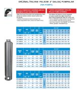 Felsom FP 4L075  7.5Hp  4'' Tek Dalgıç Pompa (Orjinal İtalyan) (Bağımsız Float Fanlı Sistem)