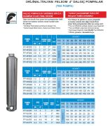 Felsom FP 4L075  7.5Hp  4'' Tek Dalgıç Pompa (Orjinal İtalyan) (Bağımsız Float Fanlı Sistem)