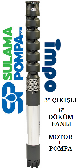 S 635/07 - 15 HP 3''ÇIKIŞLI  6'' DÖKÜM FANLI DALGIÇ POMPA(C Tipi Motorlu)