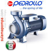 PEDROLLO HFM 5AM 2 HP  TEK FANLI SANTRİFÜJ POMPA