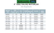 Atlantis Blu 5K2500T   25Hp 380V   5'' Dalgıç Motor (Su Soğutmalı-Yerli)