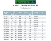 Atlantis Blu 6K1500T   15Hp 380V   6'' Dalgıç Motor (Su Soğutmalı-Yerli)