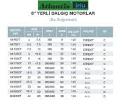 Atlantis Blu 6K5000T   50Hp 380V   6'' Dalgıç Motor (Su Soğutmalı-Yerli)