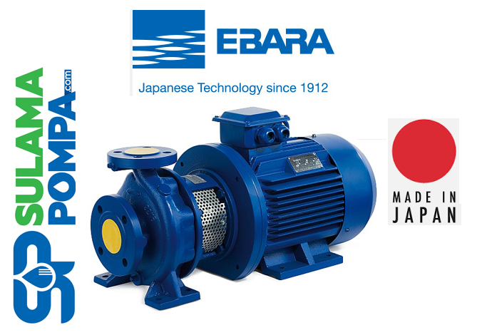 EBARA 3D 40-125/2.2 3.HP  380V YATAY MİLLİ DÖKÜM SANTRİFÜJ POMPA