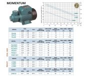 Momentum  PKM110AT   1.5Hp 220V  Preferikal Sürtme Fanlı Pompa