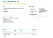 Wilo Initial Peripheral PV 30 M  0.5Hp 220V  Tek Kademeli Periferik Pompa