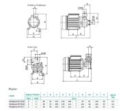 Wilo Initial Peripheral PV 50 M  0.8Hp 220V  Tek Kademeli Periferik Pompa