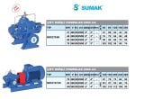 Sumak SMC270/80  55kW 380V Döküm Gövdeli Çift Emişli Yatay Santrifüj Pompa -2900 d/d- FİYAT BİLGİSİ İÇİN BİZİMLE İLETİŞİME GEÇİNİZ.