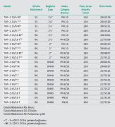 WİLO TOP-Z 25/10 M -RG  PN 10 KULLANMA SUYU SİRKÜLASYON POMPASI ( BAĞLANTI ÇAPI 1 1/2'' )