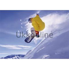 EDUCA 500 PUZZLE 16273 SNOWBOARD