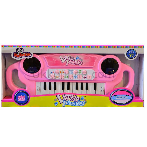 N129E/A05 KUT.IŞIKLI RENKLİ ORG LITTLE