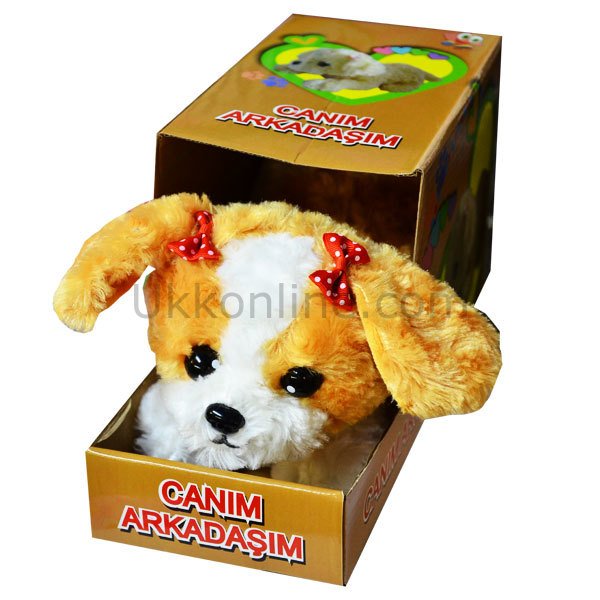 2004-2013-2007 HAREKETLİ PELUŞ CANIM ARKADAŞIM