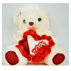 1510052 PELUŞ KALPLİ AYI 28CM