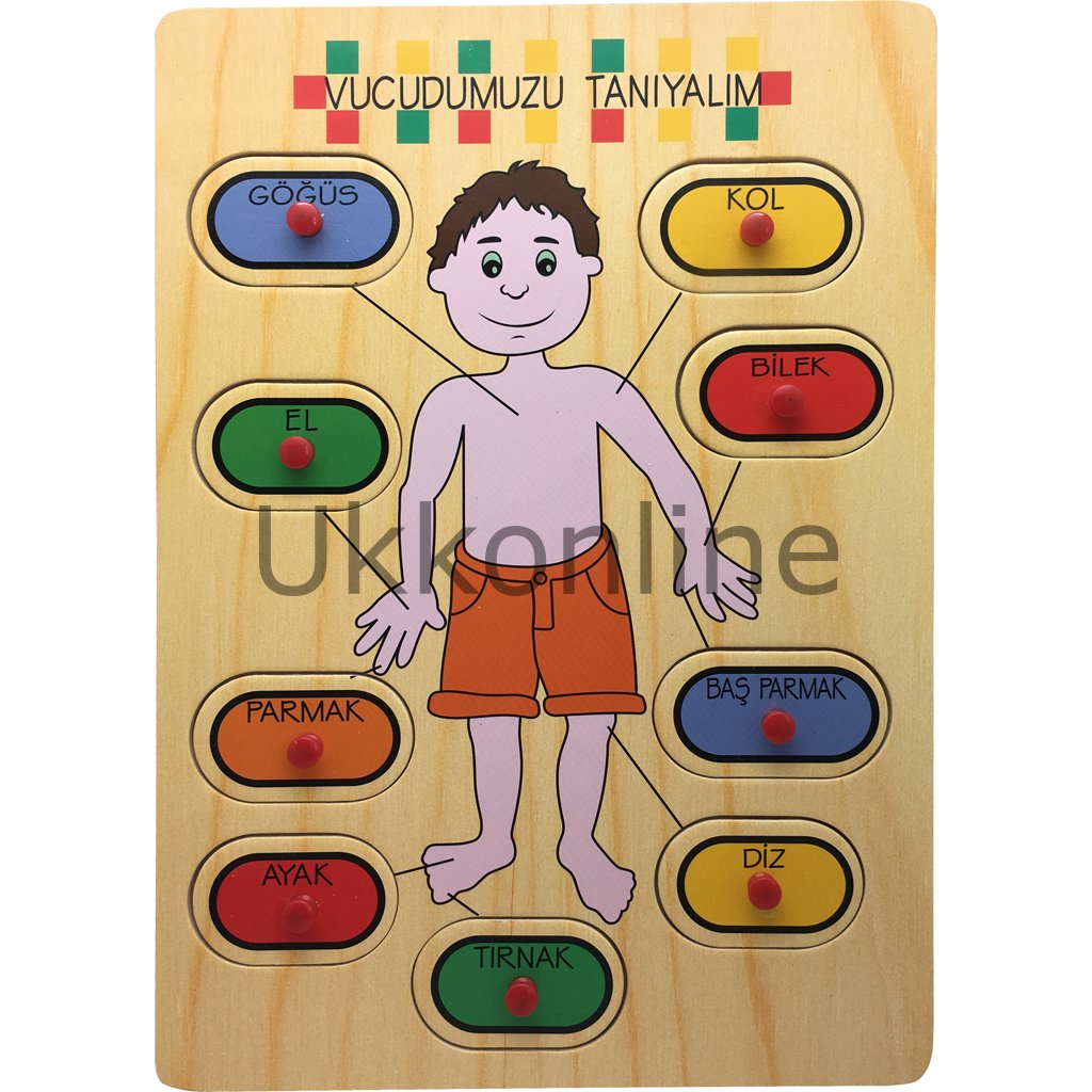 BU-BU AHŞAP PUZZLE VÜCUT PARÇALARI