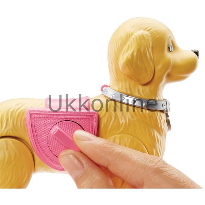 Mattel DWJ68 Barbie Ailesi Barbie ve Tuvalet Eğitimindeki Köpeği