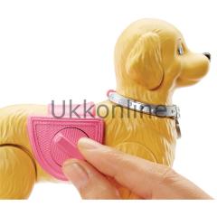 Mattel DWJ68 Barbie Ailesi Barbie ve Tuvalet Eğitimindeki Köpeği
