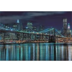 EDUCA 1000 PUZZLE 15978 MANHATTAN AT NIGHT