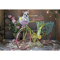 EDUCA 500 PUZZLE 15964 EASY RIDER