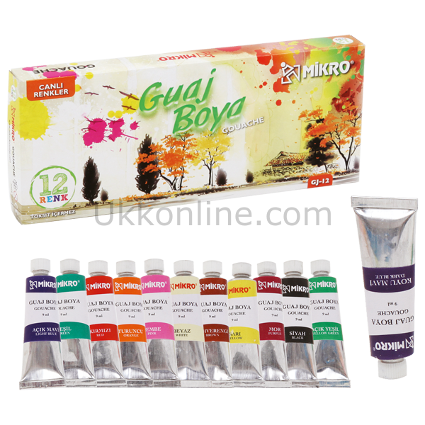 MİKRO GUAJ BOYA 12 RENK GJ-12