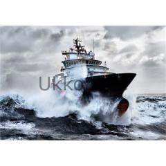 EDUCA 500 PUZZLE 15795 KURTARMA BOTU