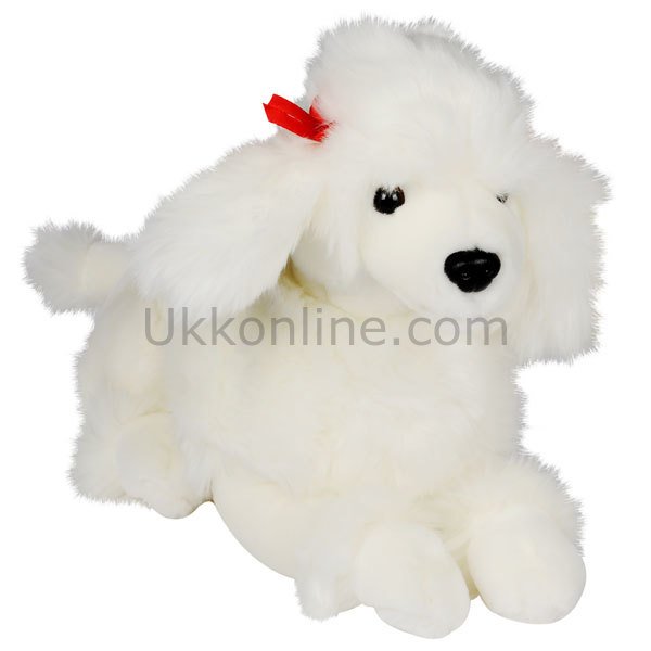 8612 POODLE KÖPEK