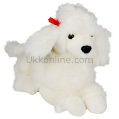 8612 POODLE KÖPEK
