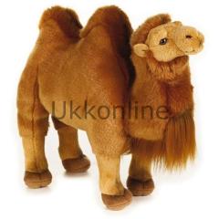 Ottonya NG 770776 Camello Bactrian
