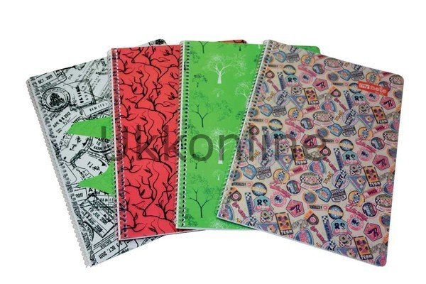 MYNOTE FLEX UP SP PP DEFTER A4 100 YP KARELİ