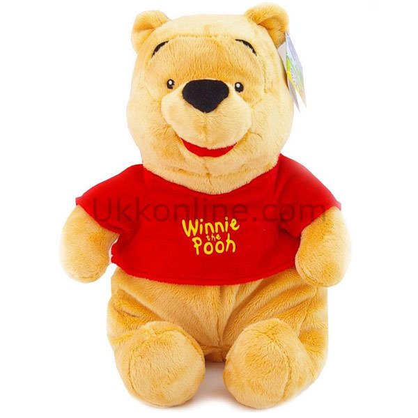 6021 2K  WTP POOH FLOPPY 35CM