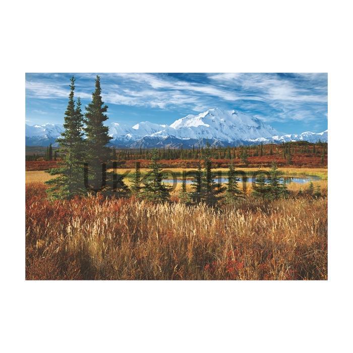 EDUCA 1500 PUZZLE 16008 DENALI NATIONAL PARK USA