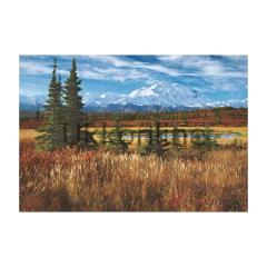 EDUCA 1500 PUZZLE 16008 DENALI NATIONAL PARK USA