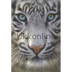 EDUCA 500 PUZZLE 15971 WHITE TIGER