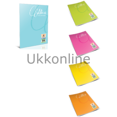 GIPTA MİCA DİKİŞLİ DEFTER PP KPK A4 60-4
