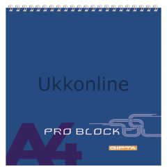 GIPTA BLOKNOT PRO BLOCK SPR K KPK A6 40YP ÇİZGİ