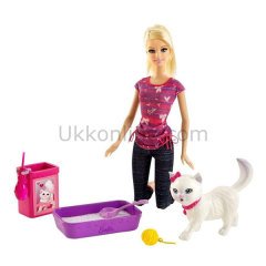 BDH76 BRB KEDİSİ TUVALET EĞİTİMİ