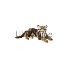 Ottonya NG 770742 Leopardo Nebuloso Orande