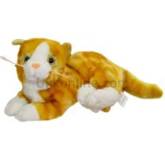 398812-M SESLİ BY.KEDİ PEL.2RENK