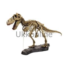CL165K T-Rex Iskelet Modeli 1:1 Dis Hediyeli