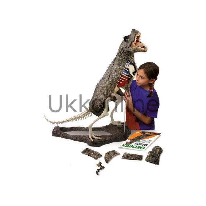 CL103K Tyrannosaurus Rex Büyük Model