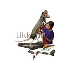 CL103K Tyrannosaurus Rex Büyük Model
