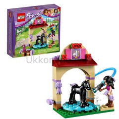 LGF41123 FR-TAYIN YIKAMA İSTASYONU /Friends 5-12 yaş LEGO