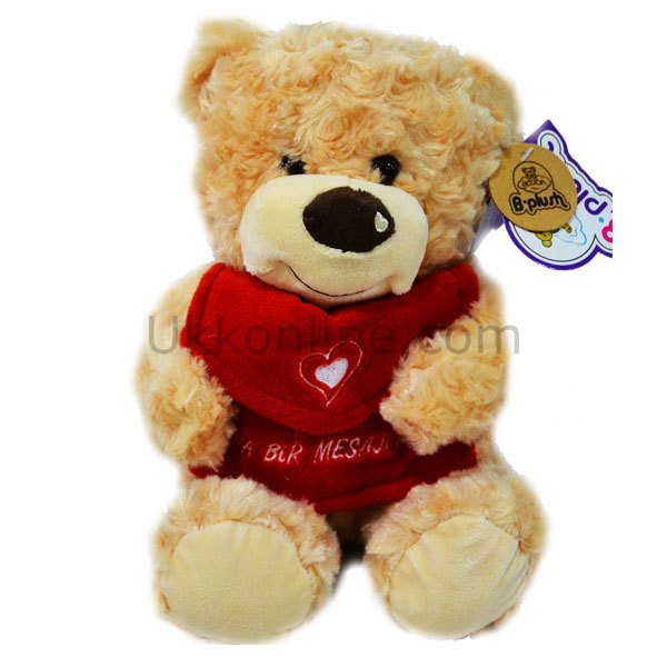 1507522M PELUŞ ZARFLI SEVİMLİ AYICIK